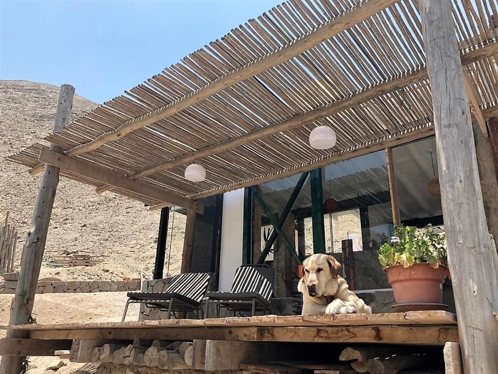 Las Cabanas De Tarii Cieneguilla Exteriör bild